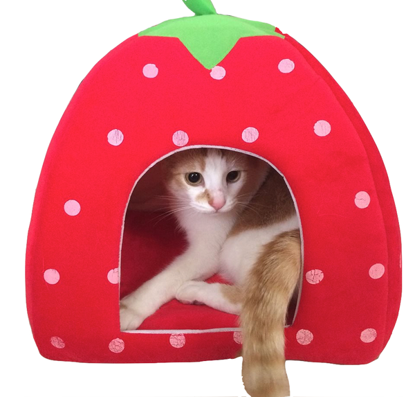 Strawberry Cat Bed