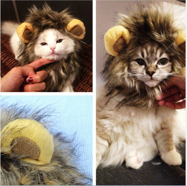 Lion Cat Hood