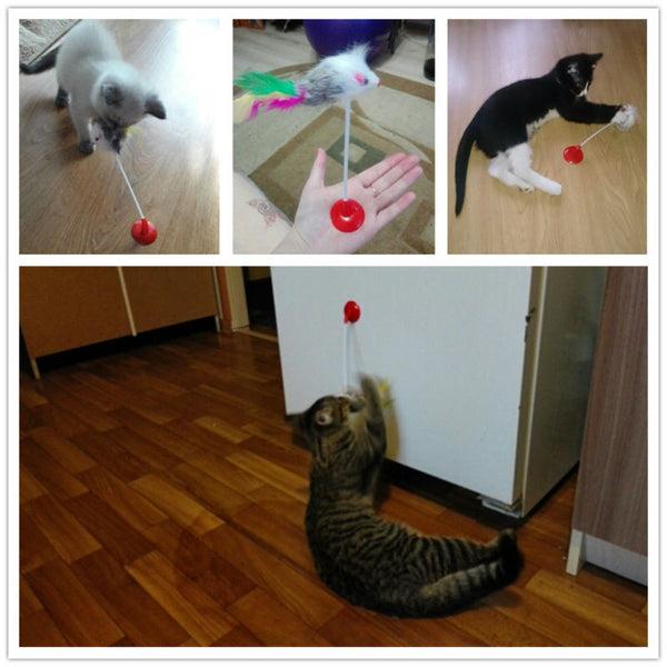 Cat Feather Toy