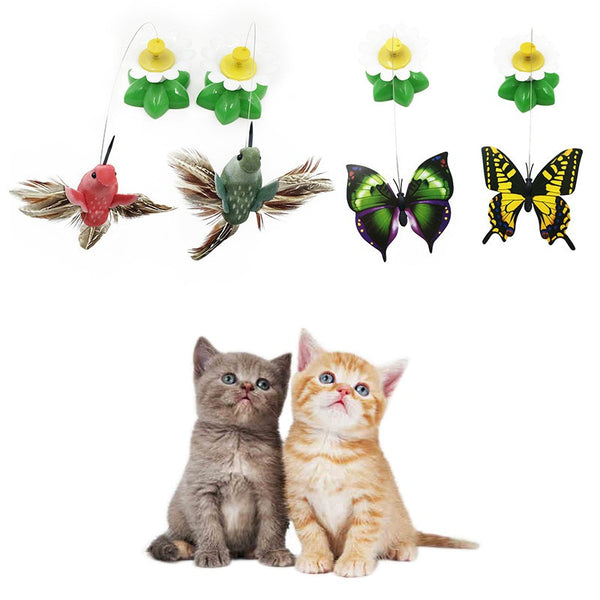 Electric Hummingbird Interactive Cat Toy