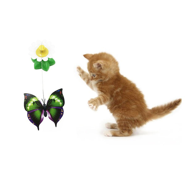 Electric Hummingbird Interactive Cat Toy