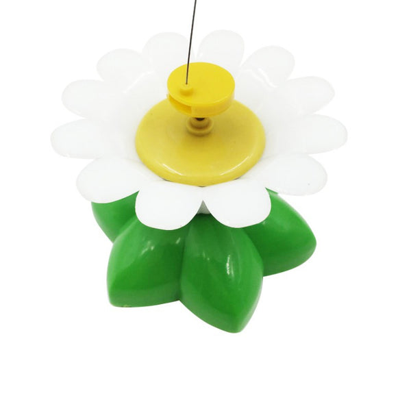 Electric Hummingbird Interactive Cat Toy