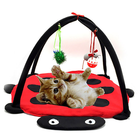 Cat Activity Play Tent Mat