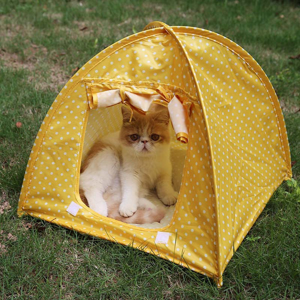 Cat Tent House